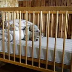 Erlendi Kodumajutus Casa vacanze Pärnu