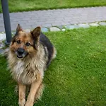 Erlendi Kodumajutus